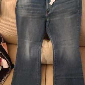 Lane Bryant Embroidered Bootleg Jeans